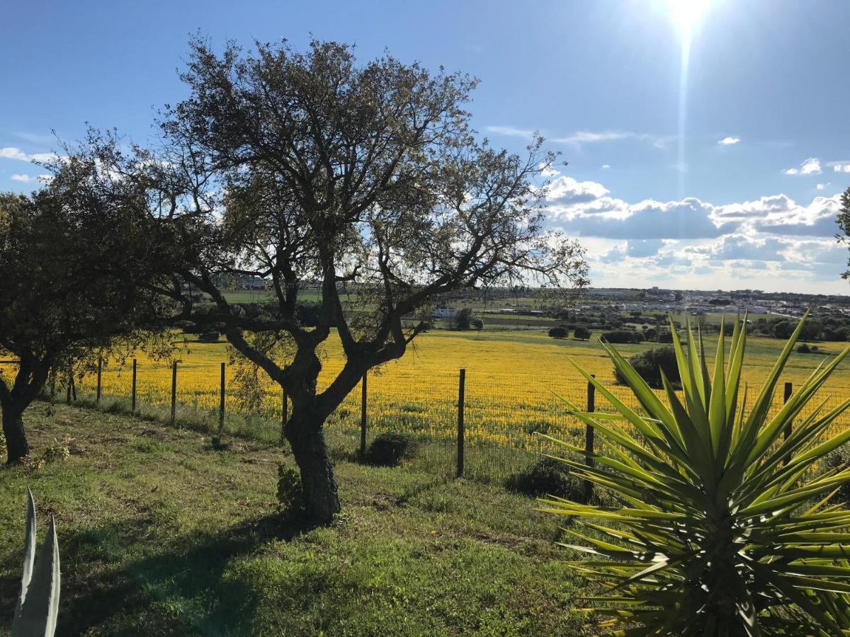 埃武拉Quinta Da Colina别墅 外观 照片