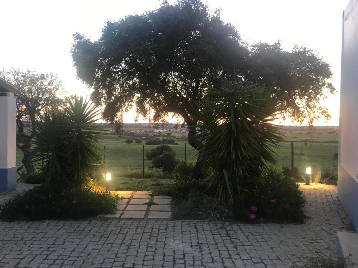埃武拉Quinta Da Colina别墅 外观 照片