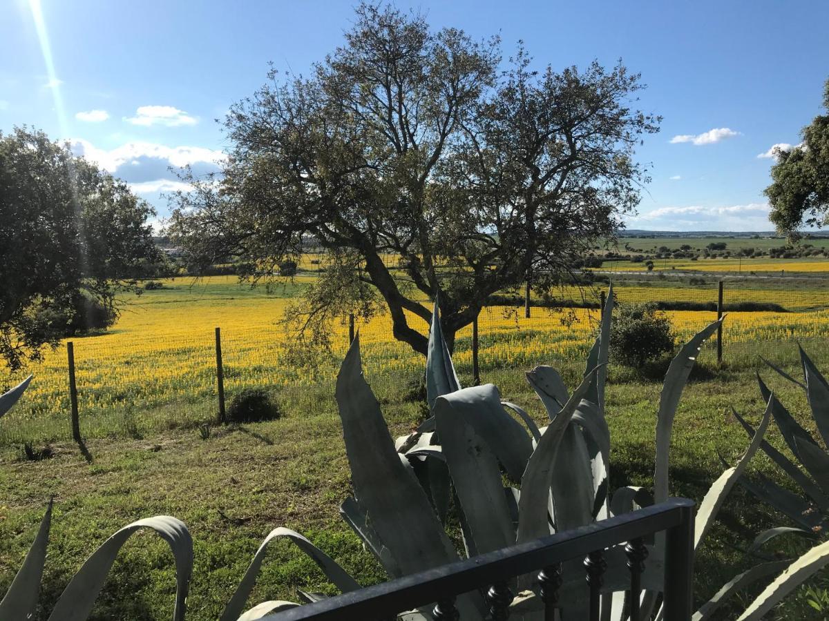埃武拉Quinta Da Colina别墅 外观 照片